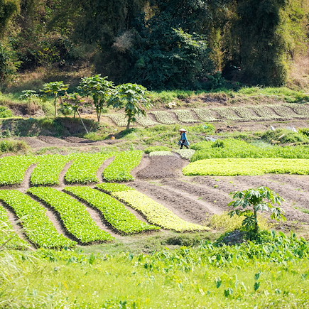 Découverte Laos