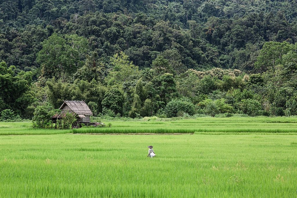 Image Visite Luang Prabang - Visite Vat Phou - Découverte Boloven