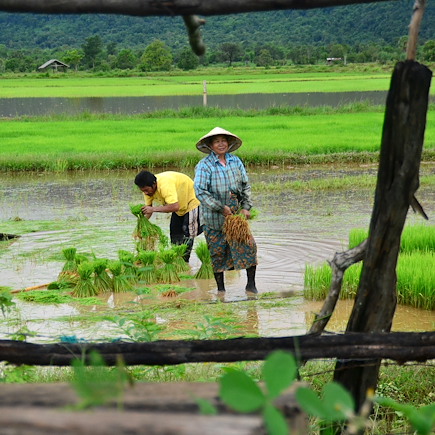 Découverte Laos