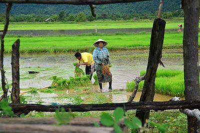 Peuples du Mékong et trésors d'Angkor