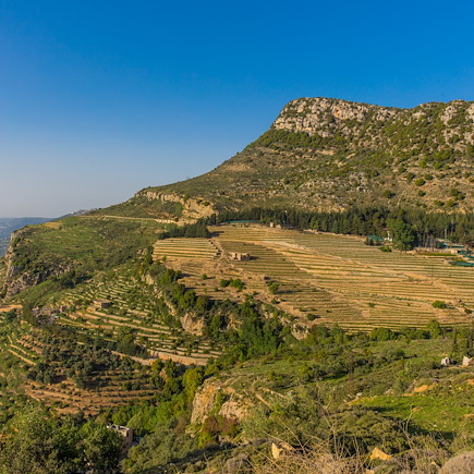 Trek Liban