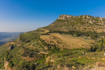 Voyage Patrimoine et Nature Liban