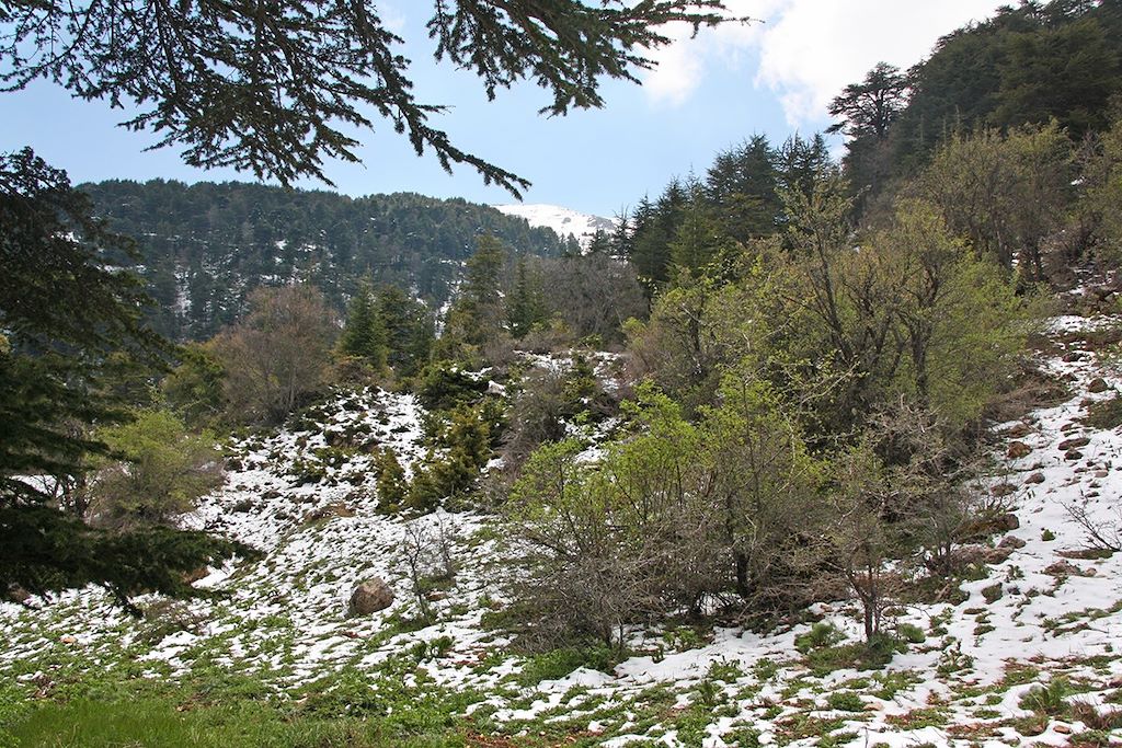 Image Randonnée Vallée Sainte De Qadisha - Sentier Littéraire De Baskinta - Découverte Région Des Cèdres