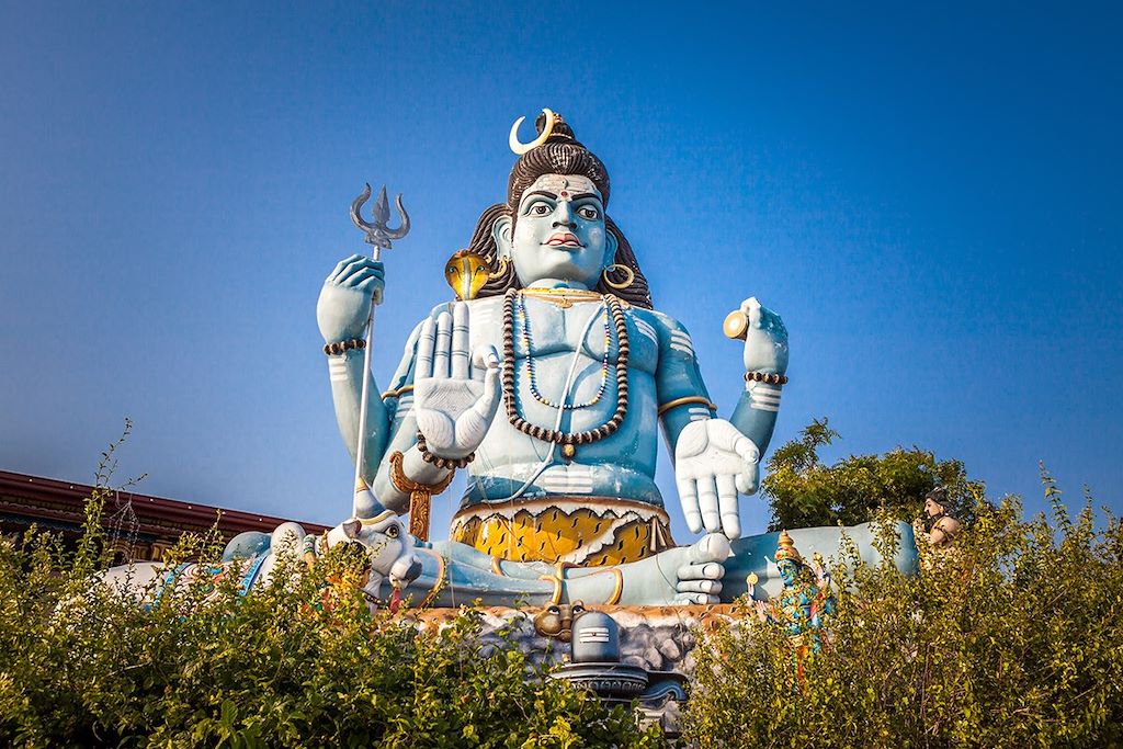 Le grand tour du Sri Lanka