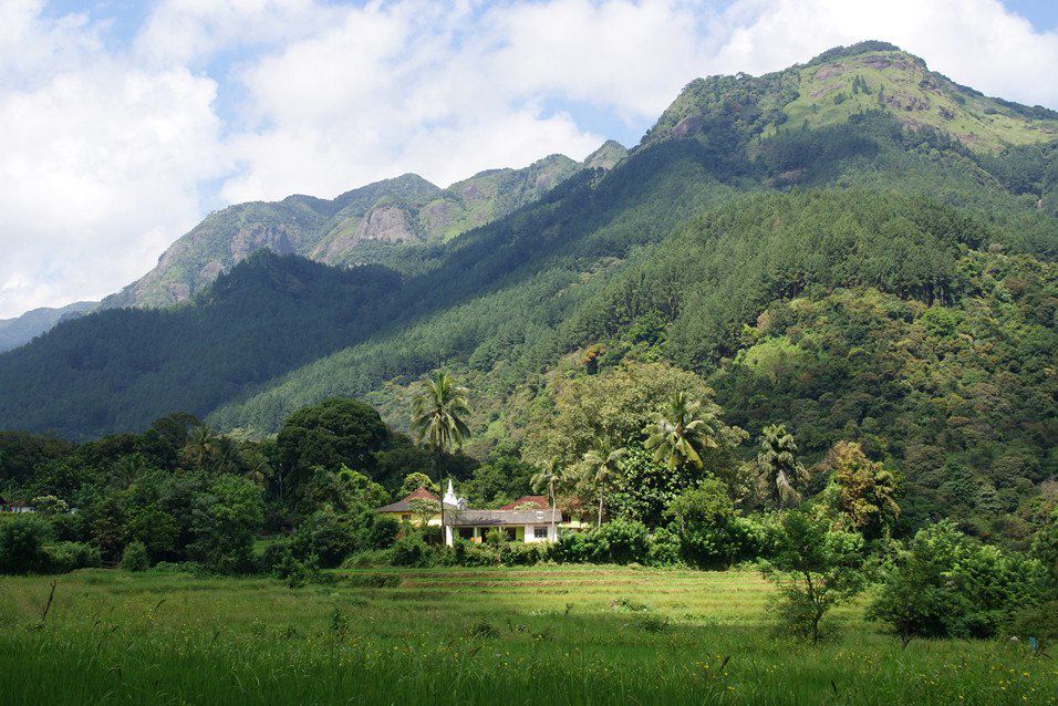 Image Randonnée Horton Plains - Ascension Sigiriya - Train Bandarawela