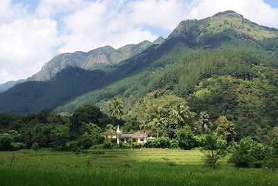 Monts Knuckles - Région Atanwila - Sri Lanka