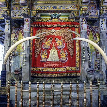 Découverte Sri Lanka