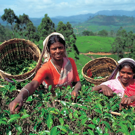 Randonnée Sri Lanka