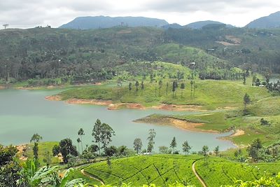 © Patricia Bettiol - Hatton - Sri Lanka Hatton - Sri Lanka