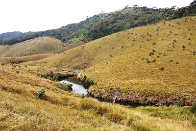 © Fanny Gibert - Parc national de Horton Plains - Sri Lanka Parc national de Horton Plains - Sri Lanka
