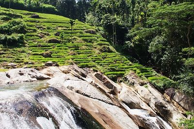 © Fanny Gibert - Les Monts Knuckles - Sri Lanka Les Monts Knuckles - Sri Lanka