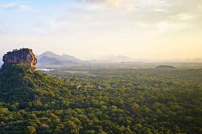 Rocher du Lion - Sigiriya - District de Polonnaruwa - Sri Lanka