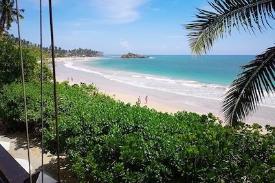 Plage de Mirissa - Sri Lanka