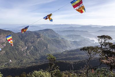 Voyage Adam's Peak, par le sentier originel 1