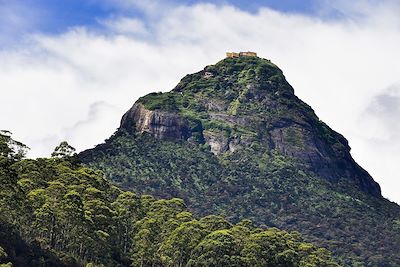 Pic d'Adam - Adam's Peak - Dalhousie - Sri Lanka