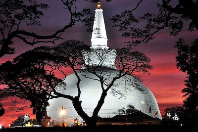 Voyage Adam's Peak, par le sentier originel 3