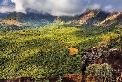 Région des monts Knuckles - Sri Lanka