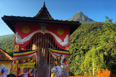 Voyage Marches sacrées au pays de l'Adam's Peak 1