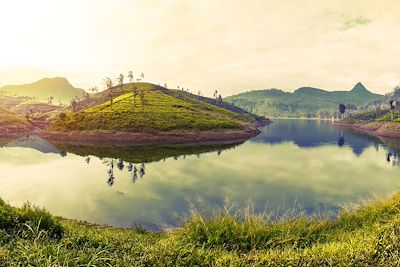© Dudarev Mikhail / Fotolia - Sri Lanka Sri Lanka
