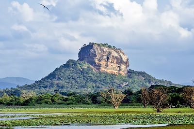 © Dilshad Sadiq - Rocher du Lion - Sigiriya - Sri Lanka Rocher du Lion - Sigiriya - Sri Lanka