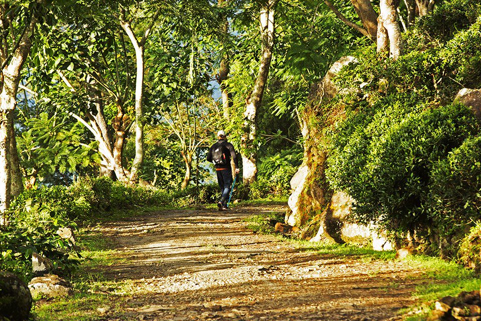 Voyage Aventure Cinghalaise 3