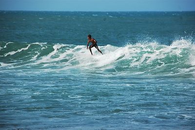 Voyage Un été au Sri Lanka 2