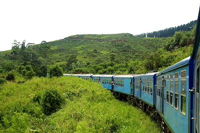 Voyage Aventure et nature en famille au Sri Lanka 2