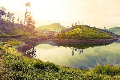 Aventure et nature en famille au Sri Lanka