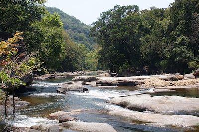 Monts Knuckles - Sulagune - Sri Lanka