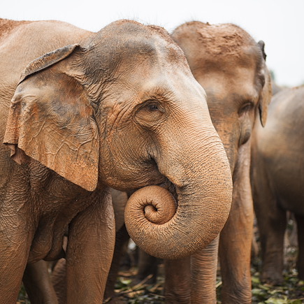 Activités et immersion, le Sri Lanka en famille