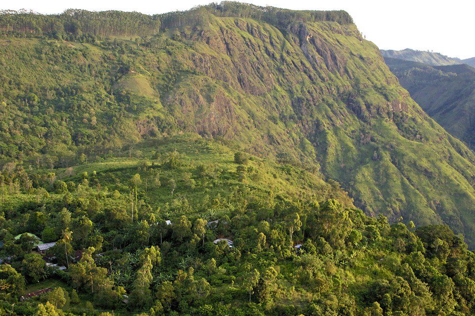Image Surf côte sud - Ascension Little Adam's Peak - Safari Udawalawe