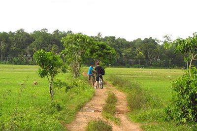 Voyage Activités et immersion, le Sri Lanka en famille 3