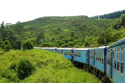 Train - Sri Lanka