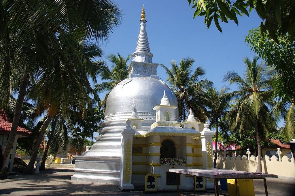 Image Visite Jaffna - Plage Trincomalee - Randonnée Knuckles - Temple Kandy