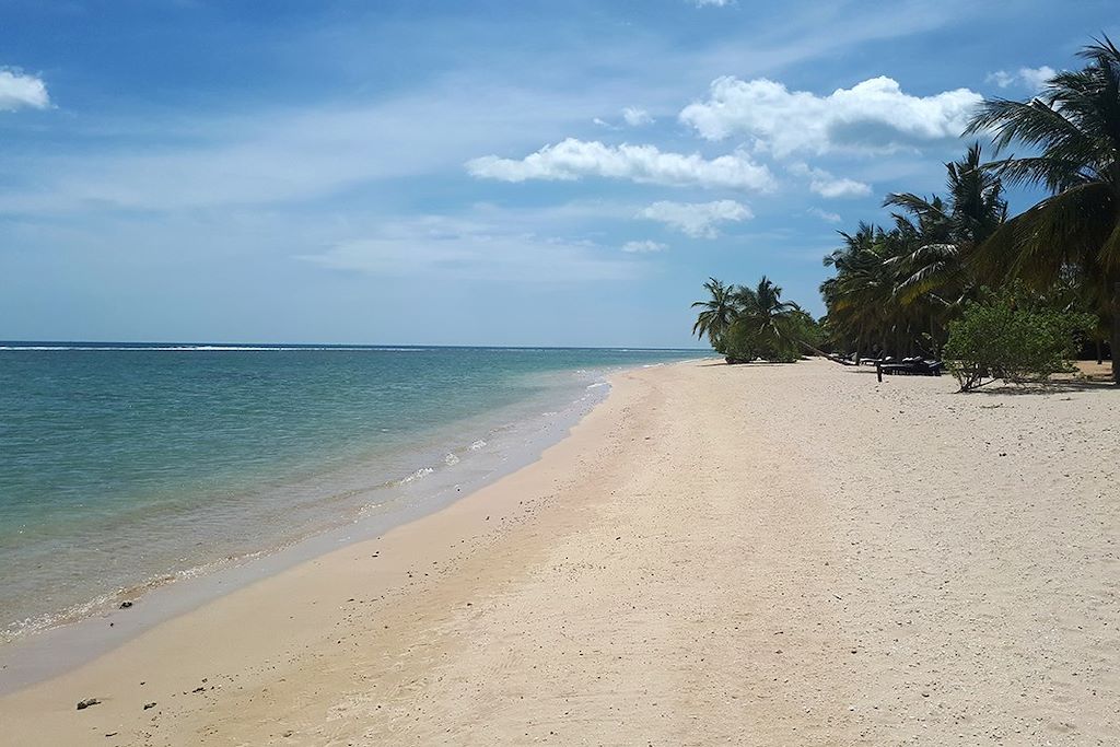Image Visite Jaffna - Plage Trincomalee - Randonnée Knuckles - Temple Kandy