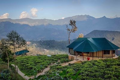 Votre hébergement au Sri Lanka