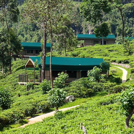 Découverte Sri Lanka