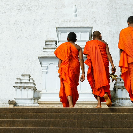 Découverte Sri Lanka