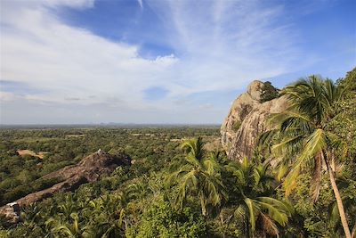 © Owen Raggett/The Mudhouse - The Mudhouse - Anamaduwa - Sri Lanka The Mudhouse - Anamaduwa - Sri Lanka
