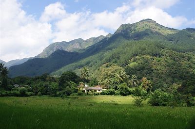 © Fanny Gibert - Monts Knuckles - Région Atanwila - Sri Lanka Monts Knuckles - Région Atanwila - Sri Lanka