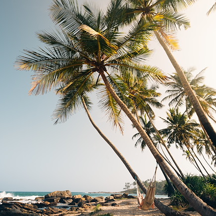 Découverte Sri Lanka
