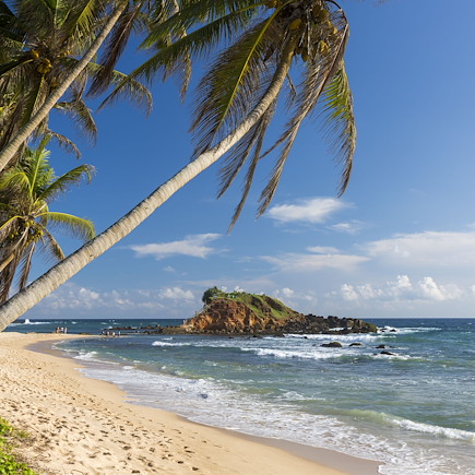 Découverte Sri Lanka