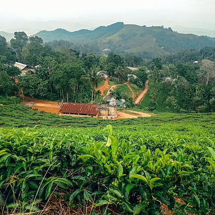 Découverte Sri Lanka