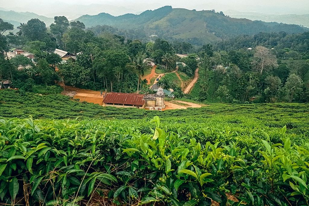Image Visite Sigiriya - Safari Eléphants Udawalawe - Randonnée Nuwara Eliya - Plage Mirissa - Balades Plan