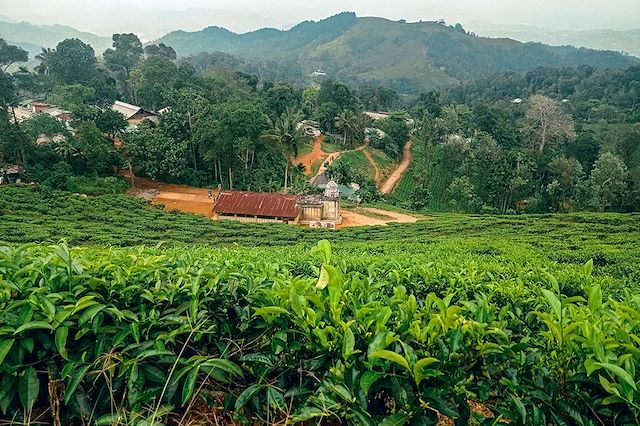 Voyage Bouddhas et éléphants du Sri Lanka
