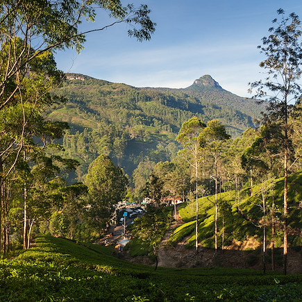 Randonnée Sri Lanka