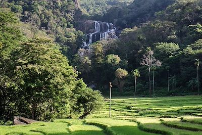 Cascade Rathna Ella - Hasalaka - Sri Lanka