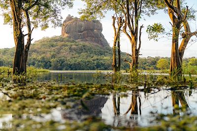 Rocher Sigiriya  - Sri Lanka