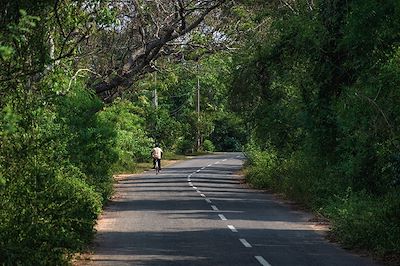 Vélo - Sri Lanka