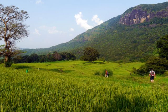 Voyage à pied : Randonnée au Sri Lanka : objectif Adam\'s Peak